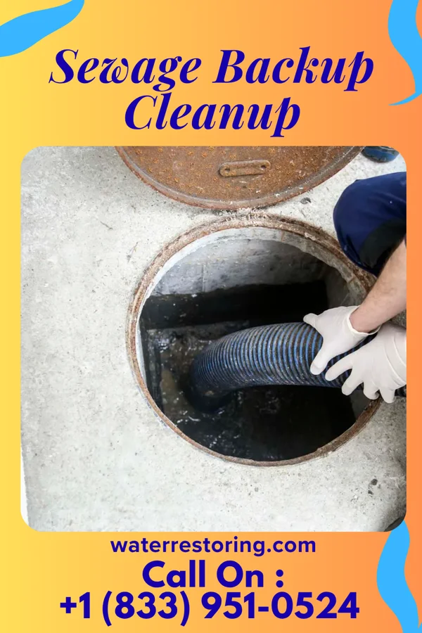Sewage Backup Cleanup in Pelican Marsh, FL